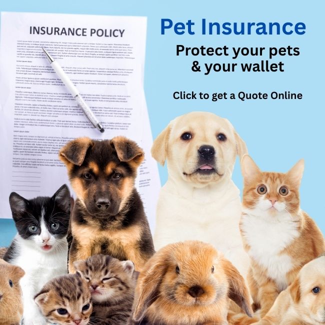 West Ridge Insurance Pet Insurance - West Ridge Insurance Agency, Inc